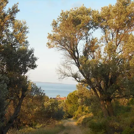 On The Aegean Sea Balikliova